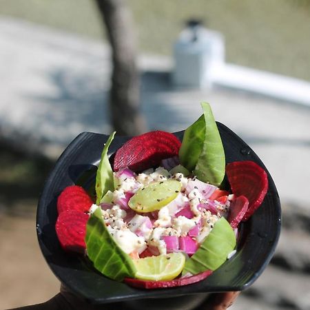 Shivanjal Wellness And Accommodation Rishikesh Ngoại thất bức ảnh