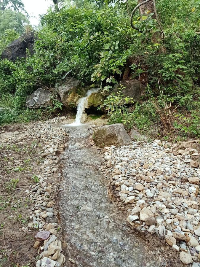Shivanjal Wellness And Accommodation Rishikesh Ngoại thất bức ảnh