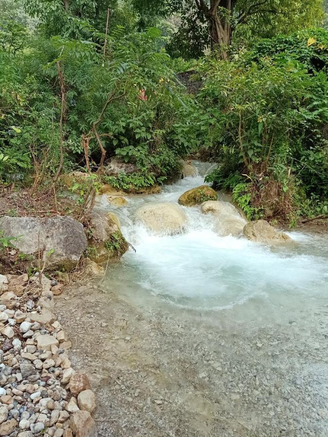 Shivanjal Wellness And Accommodation Rishikesh Ngoại thất bức ảnh